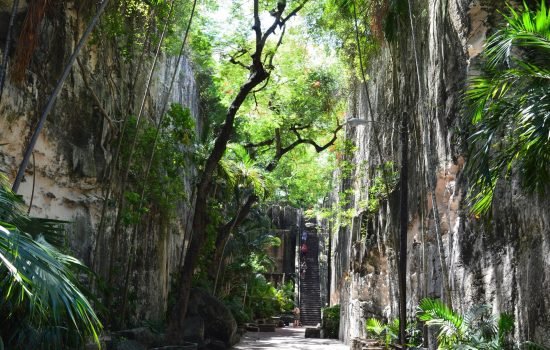 queen-staircase1 queen-staircase1