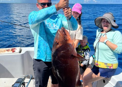 Why a Private Tour is the Best Way to Explore the Bahamas